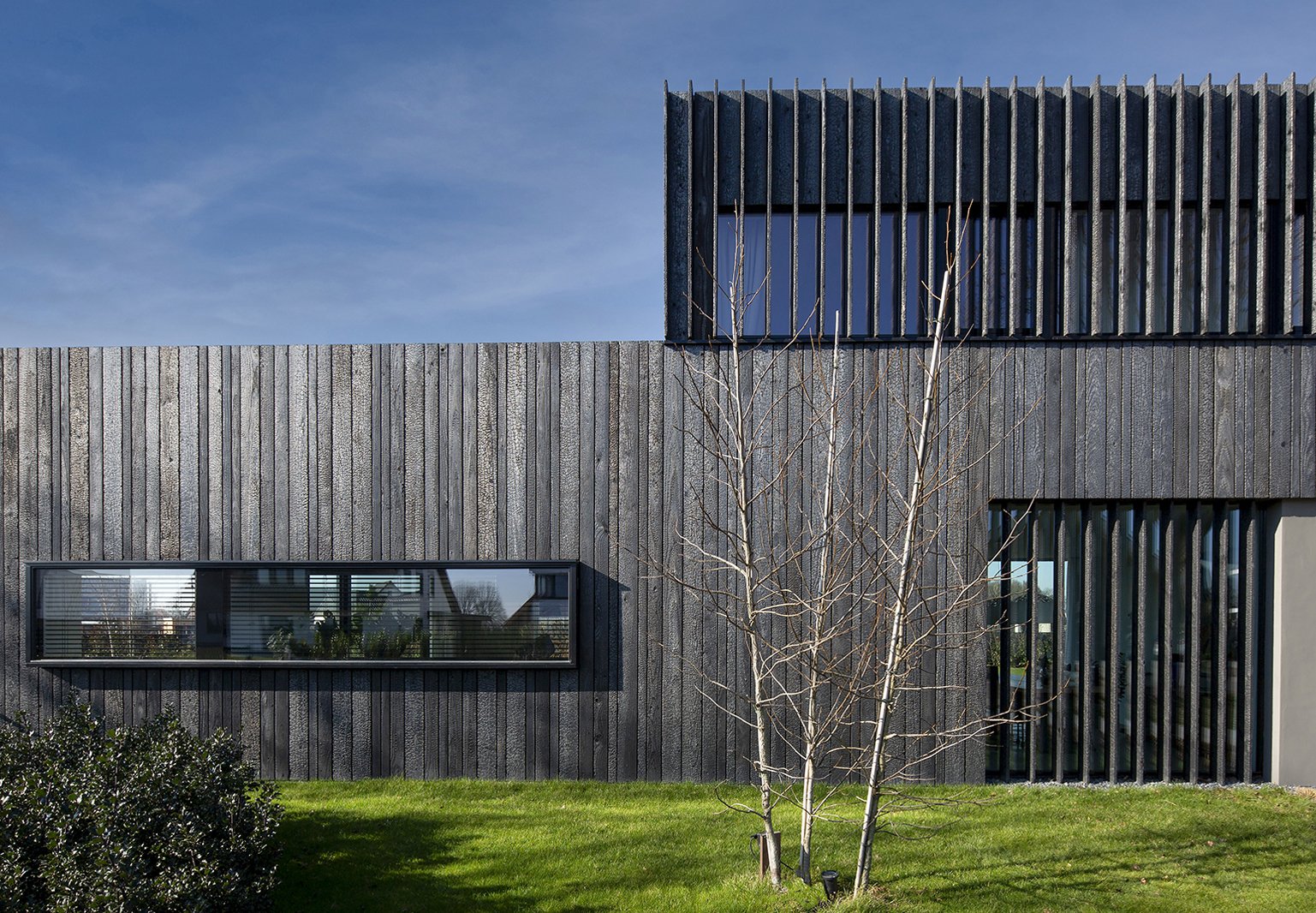 modern gebouw met houten gevel en grote ramen, voor een groene tuin met een boom en gras