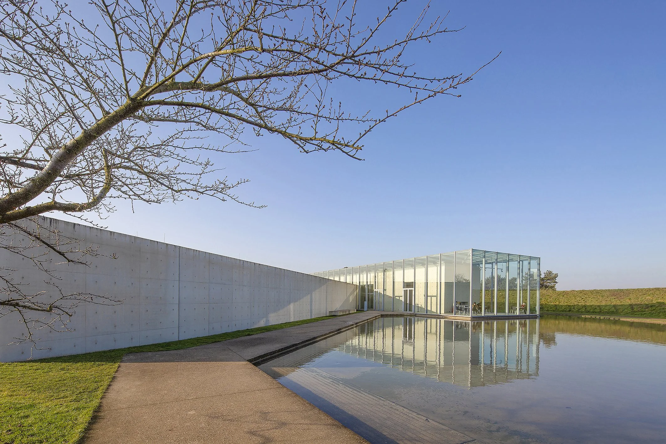 Moderne witte gebouwen met veel glas, naast een waterpartij en een pad, onder een heldere blauwe lucht met een bladloze boom op de voorgrond.