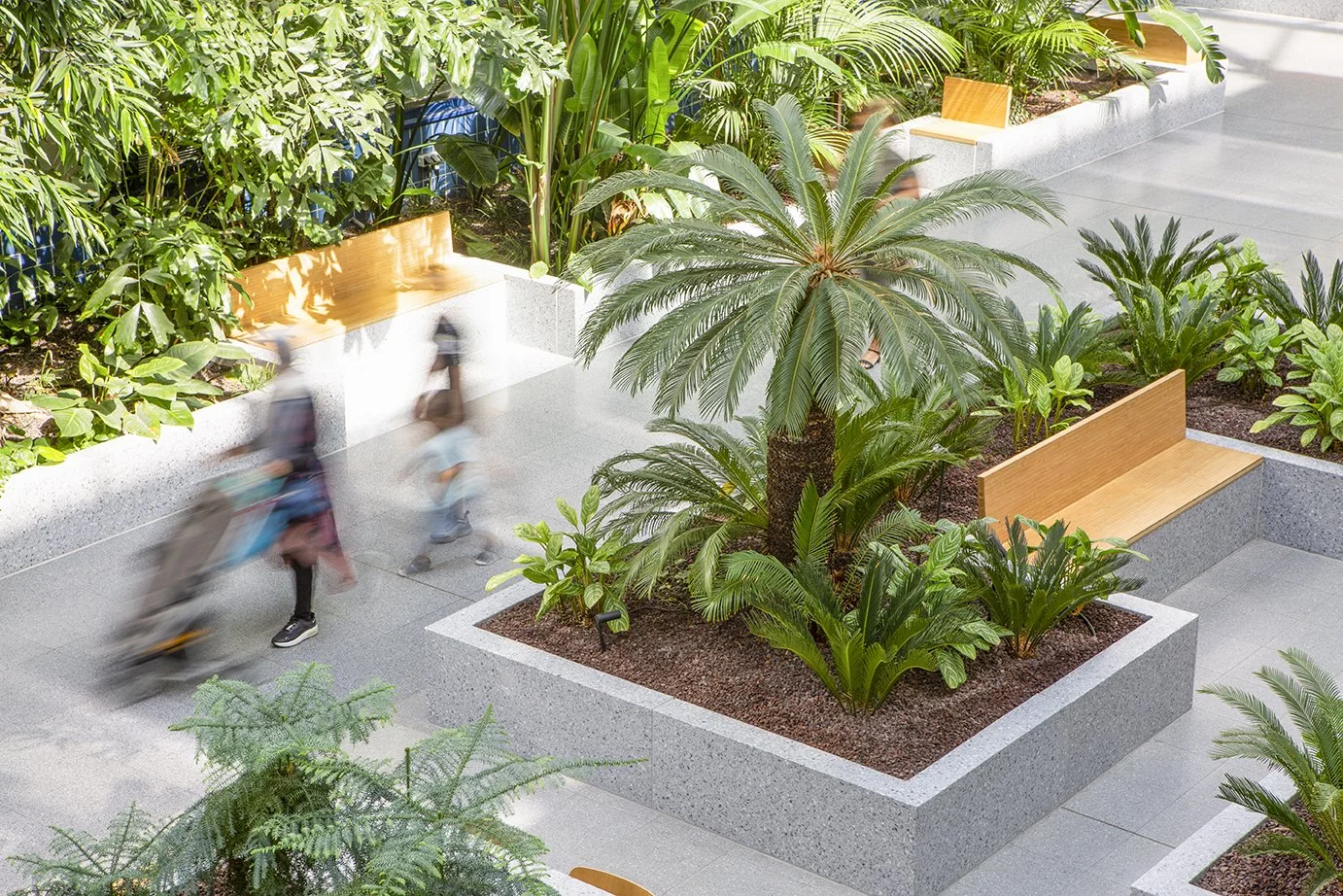 Binnenruimte met grote planten, houten banken en mensen die langs lopen