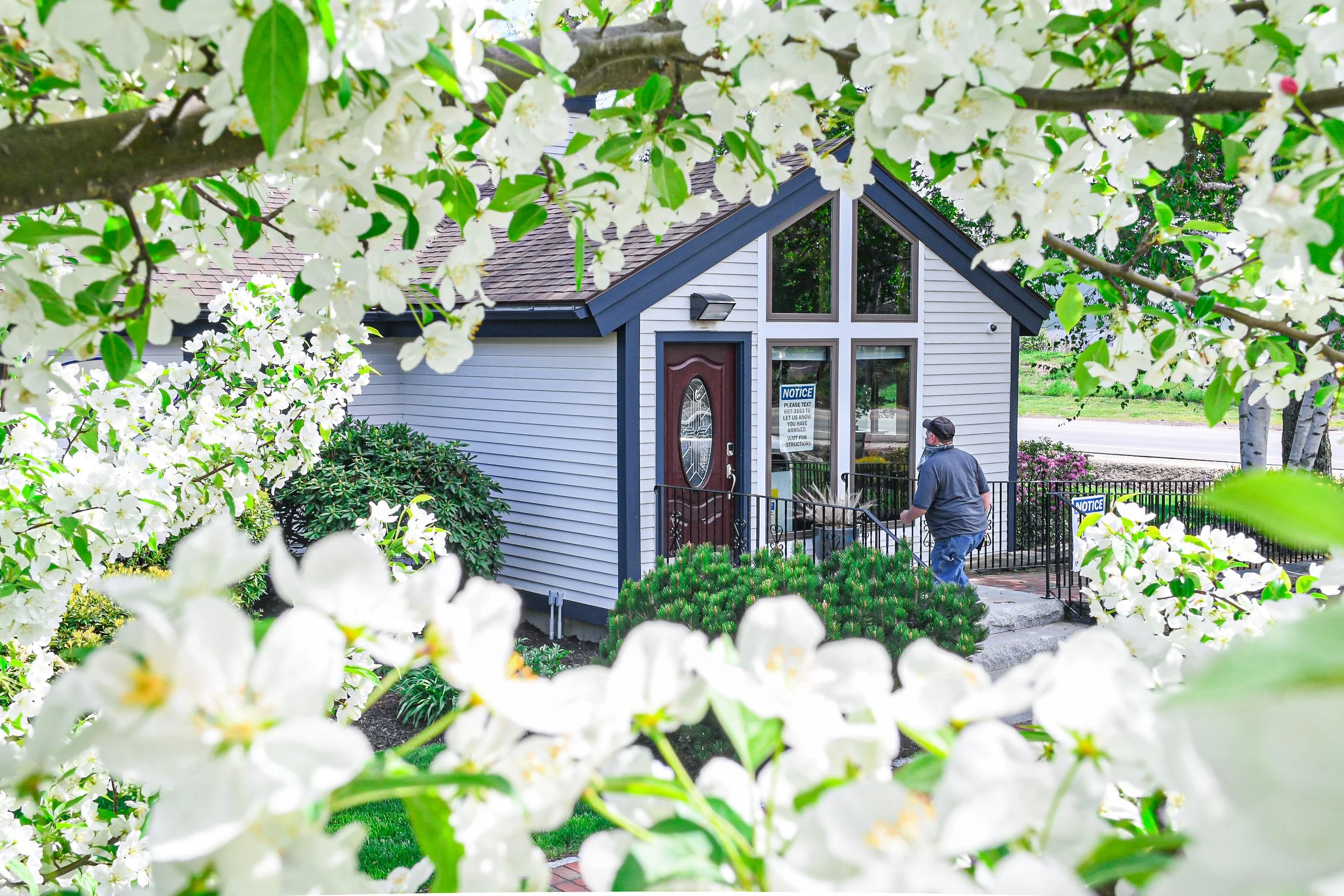 A house with a person walking towards the front door, surrounded by blooming white flowers and greenery.