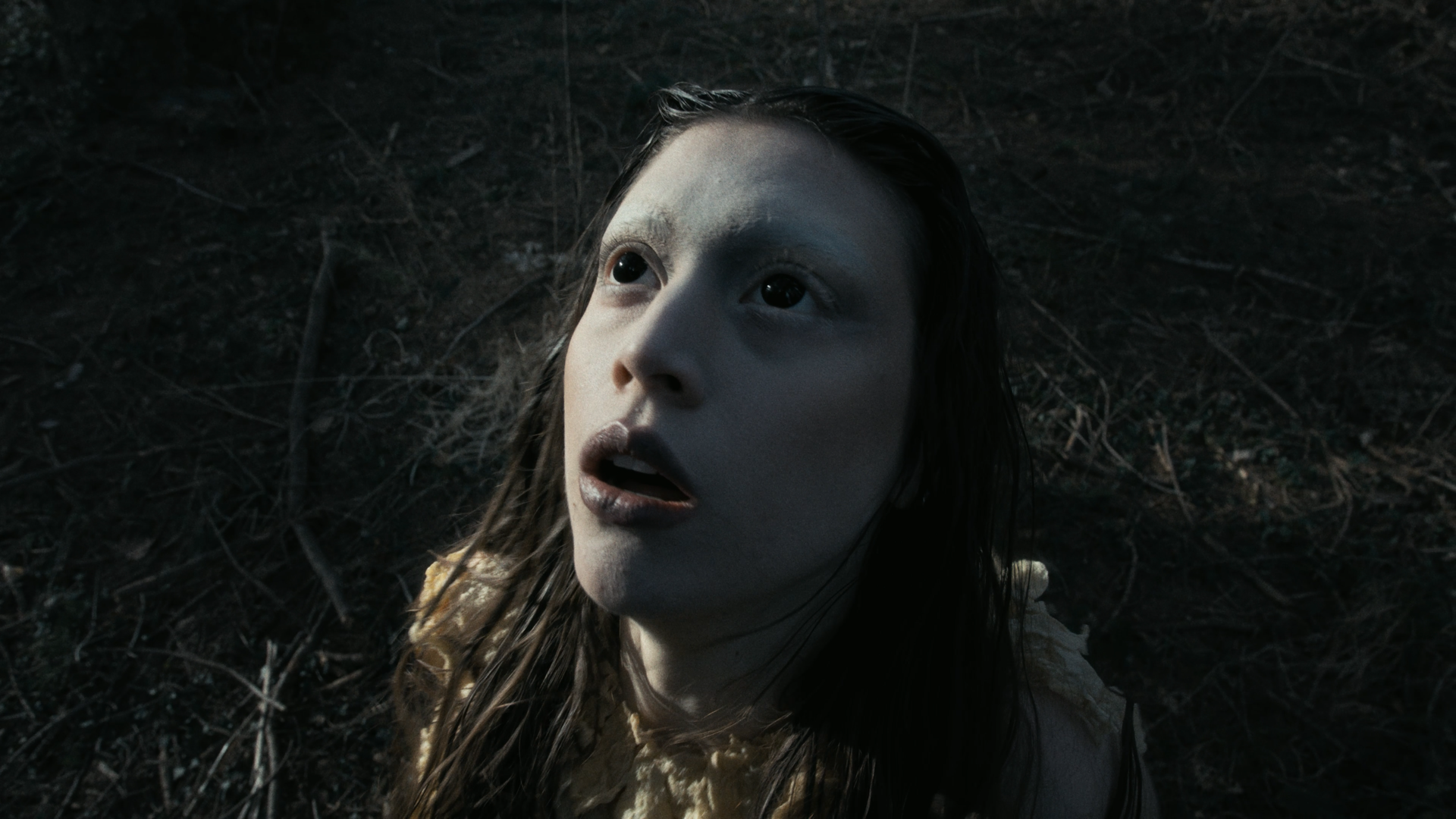 Still 2026-06-26 160838_1.384.2.T.png
