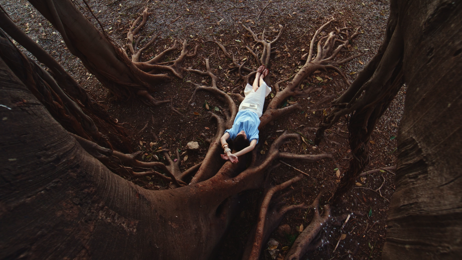 Still 2026-03-01 111502_1.40.1.png