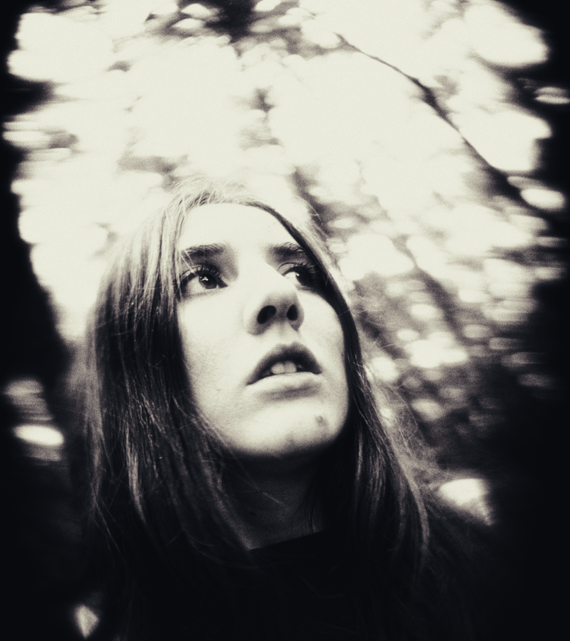 Still 2026-02-18 212128_1.85.2.png