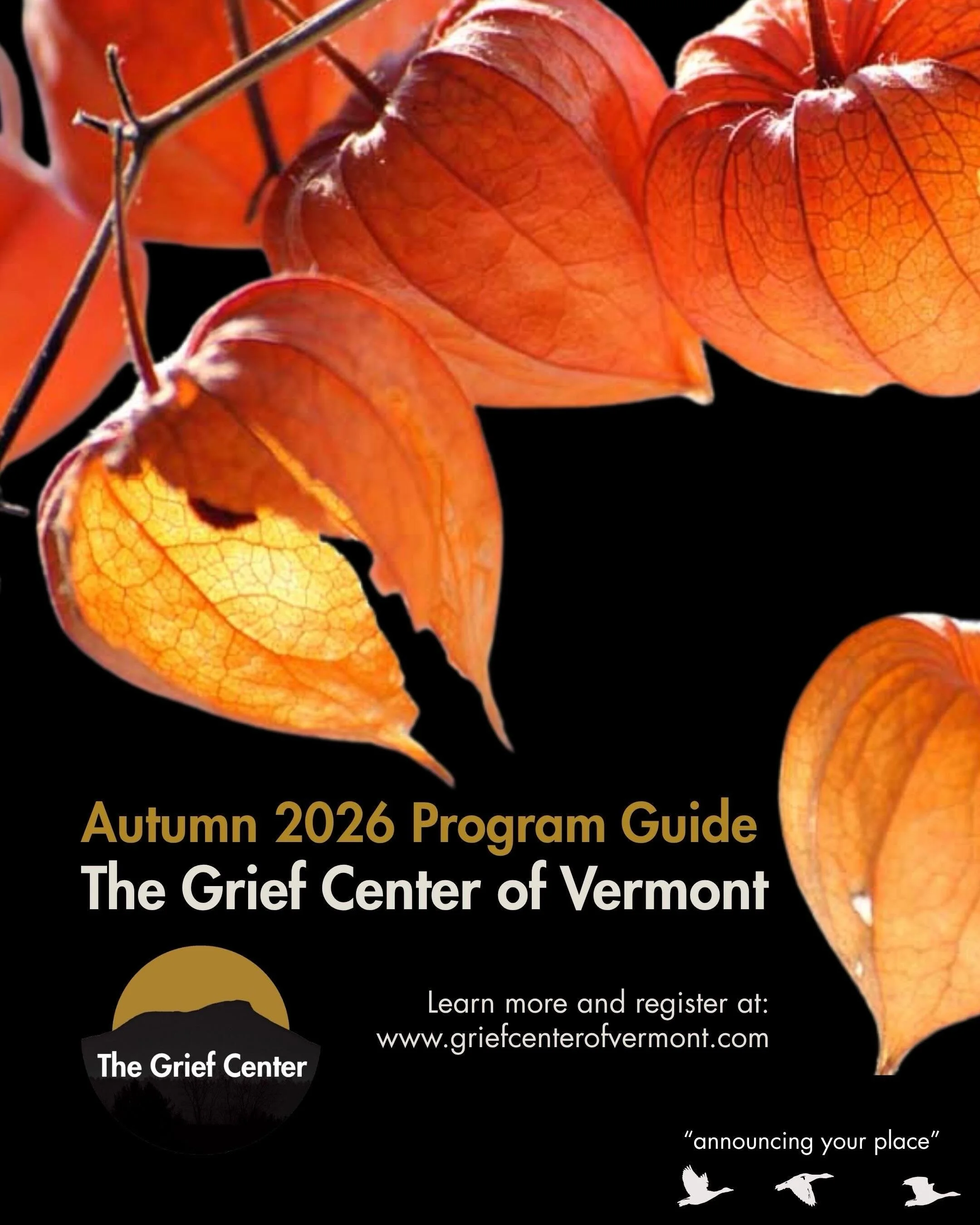 Who shall I say is calling? We are. Announcing your place at The Grief Center of Vermont in a wide range of forms (or gaggles) of your choosing and needs. We welcome all compassionate people and all forms of grief, loss, and change. This is a communi