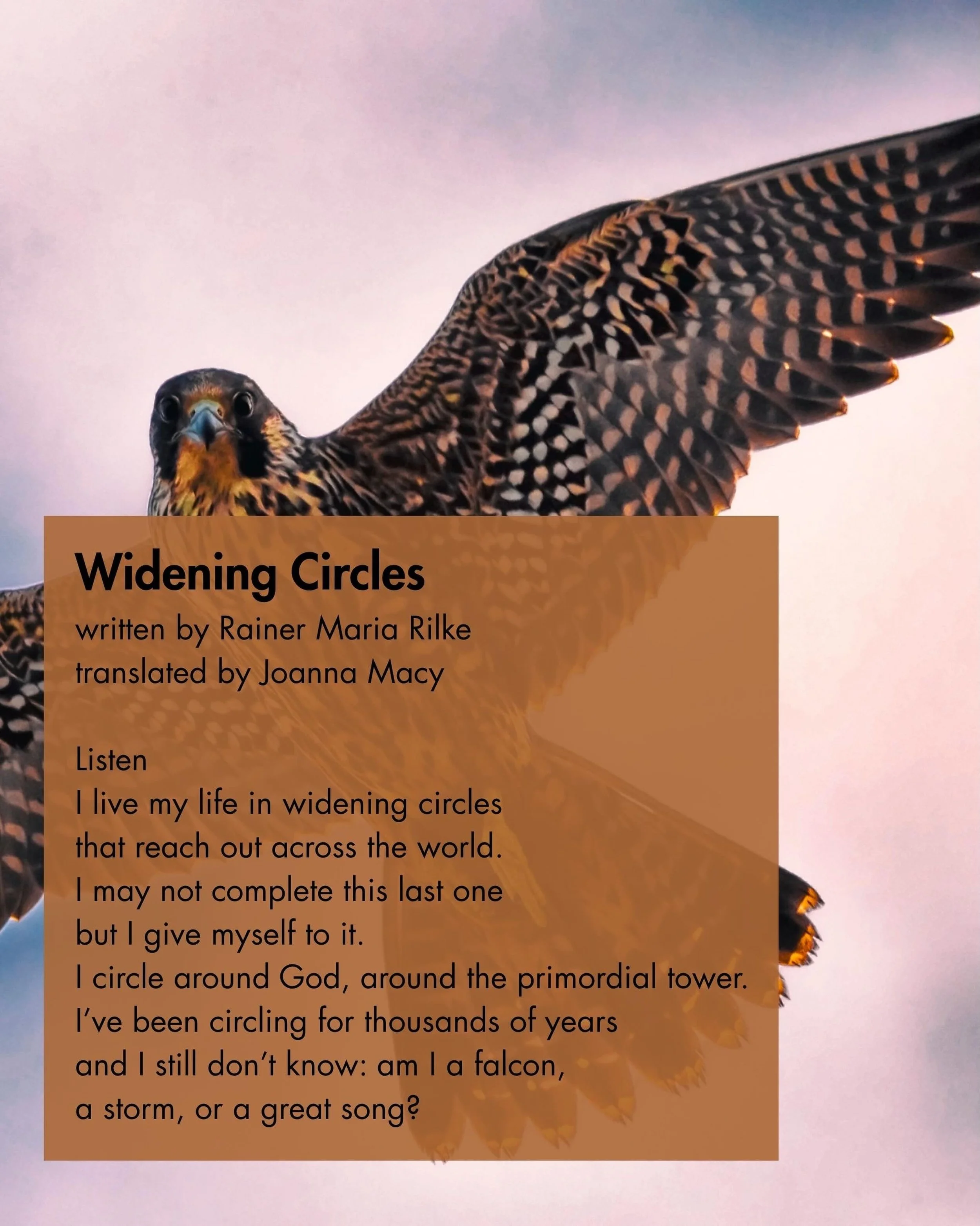 Listen.

#poetry #circles #truthmandala #griefwork #thegriefcenterofvermont