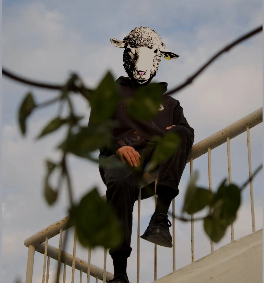 Twenty Three - Street Artist