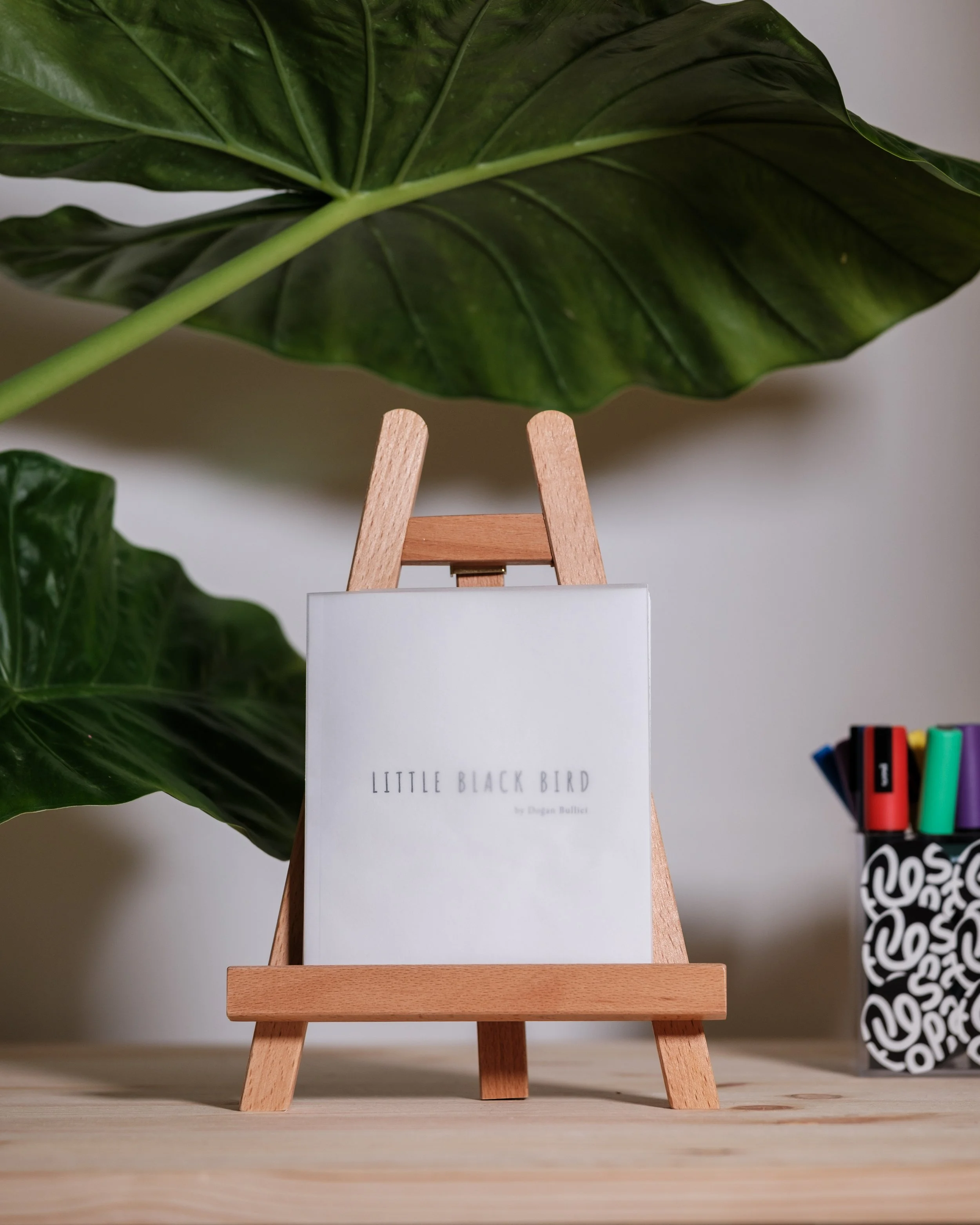 Little Black Bird - Dogan Bullicci