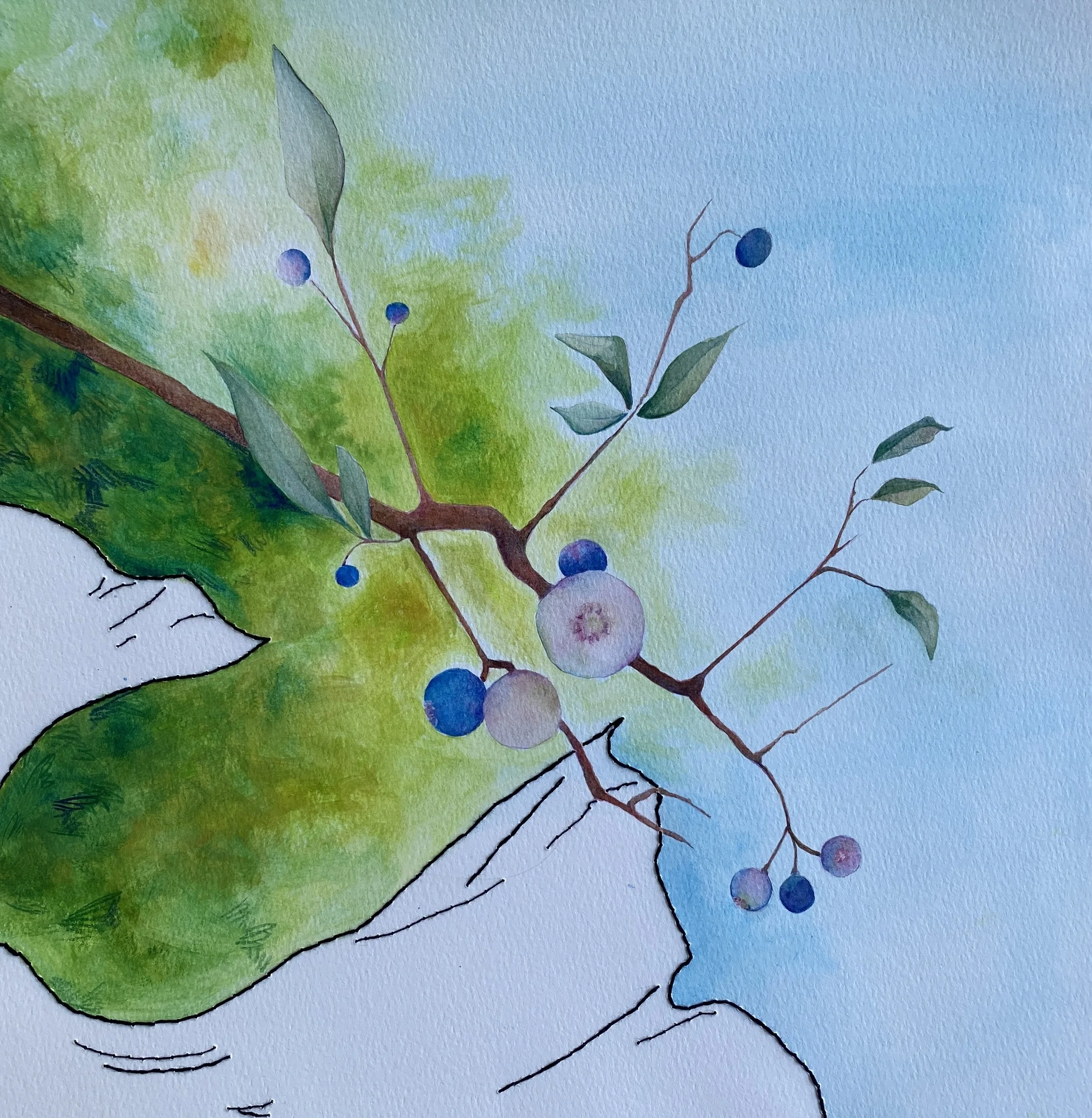 'Blueberry Picking', Watercolor and Embroidery, 12" x 12" 