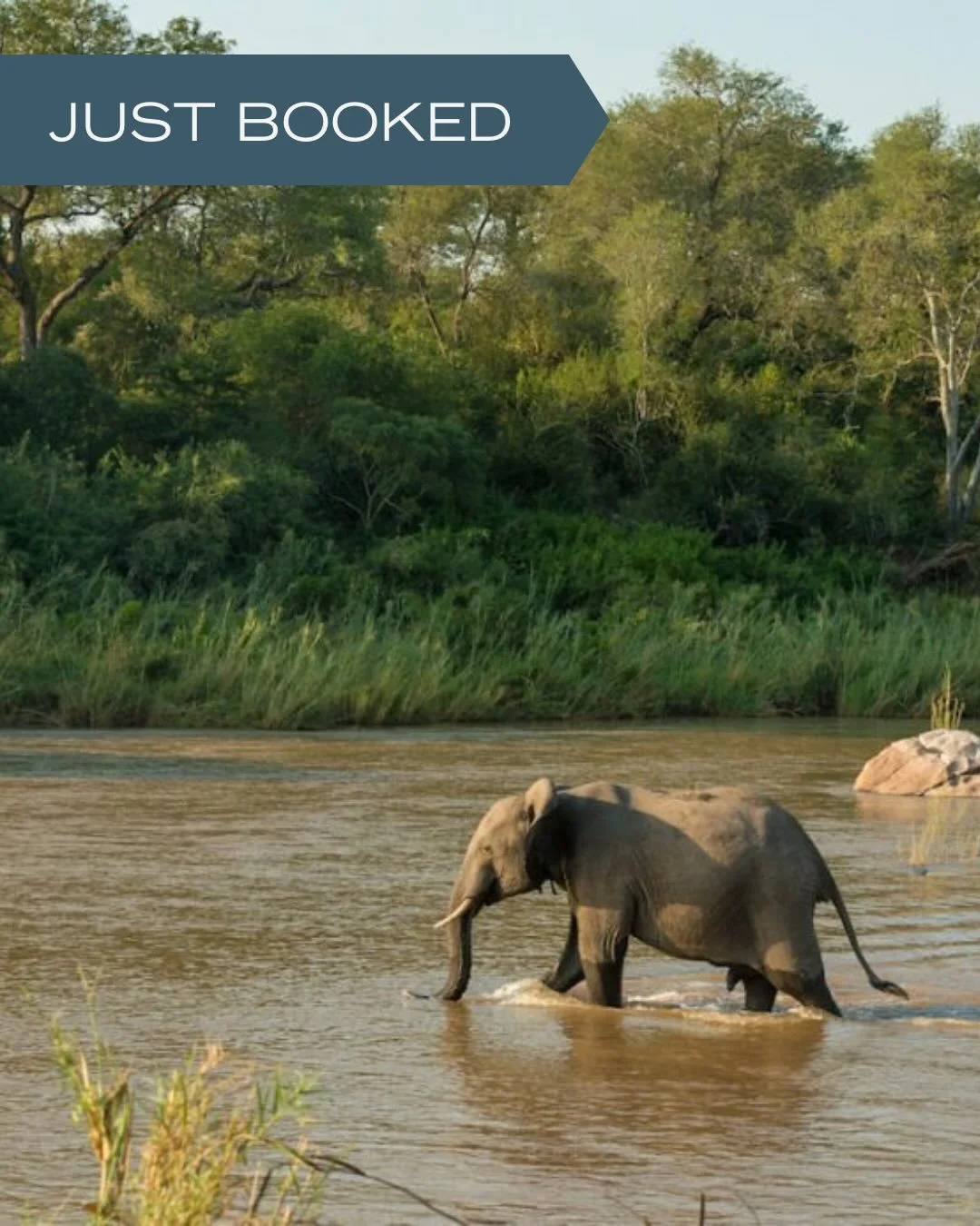 Just Booked: a 10-day African bush and beach experience of a lifetime. Picture this:

Your adventure begins in South Africa&rsquo;s Kruger National Park, where you will stay at the incredibly unique Kruger Shalati - The Train on the Bridge. Twice a d