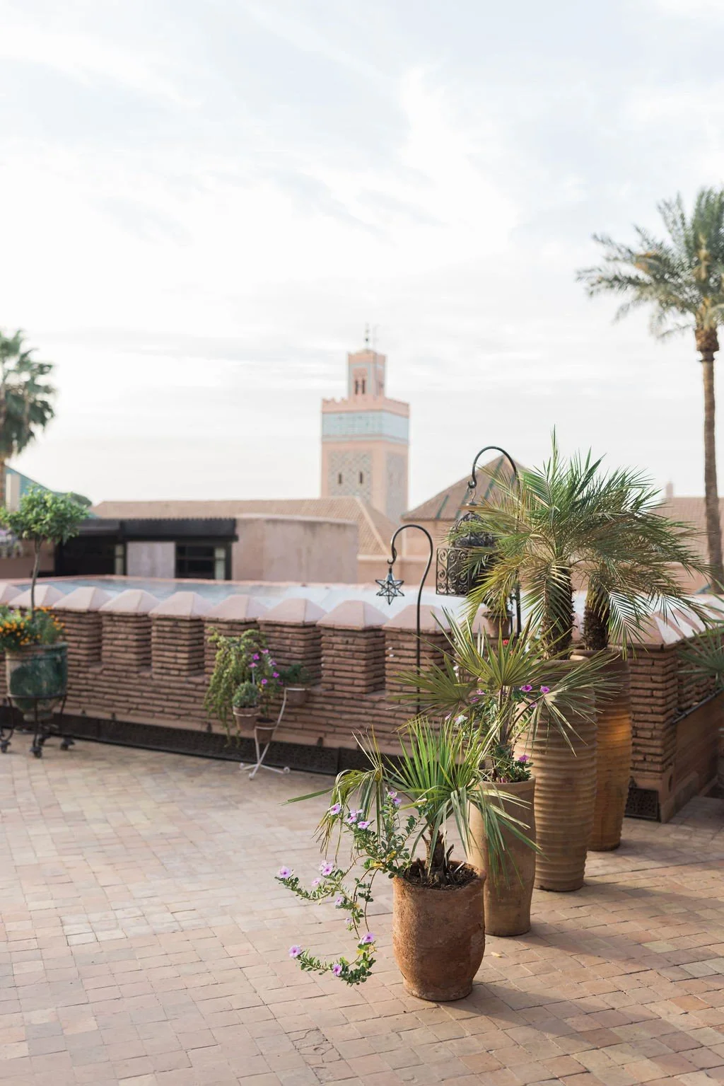 Jasmine Lazzari Designs | Marrakech Morocco Wedding Party Planner | La Sultuna Marrakech Welcome Dinner | Maria Rao Photography | Destination Wedding Designer Planning  3.jpg