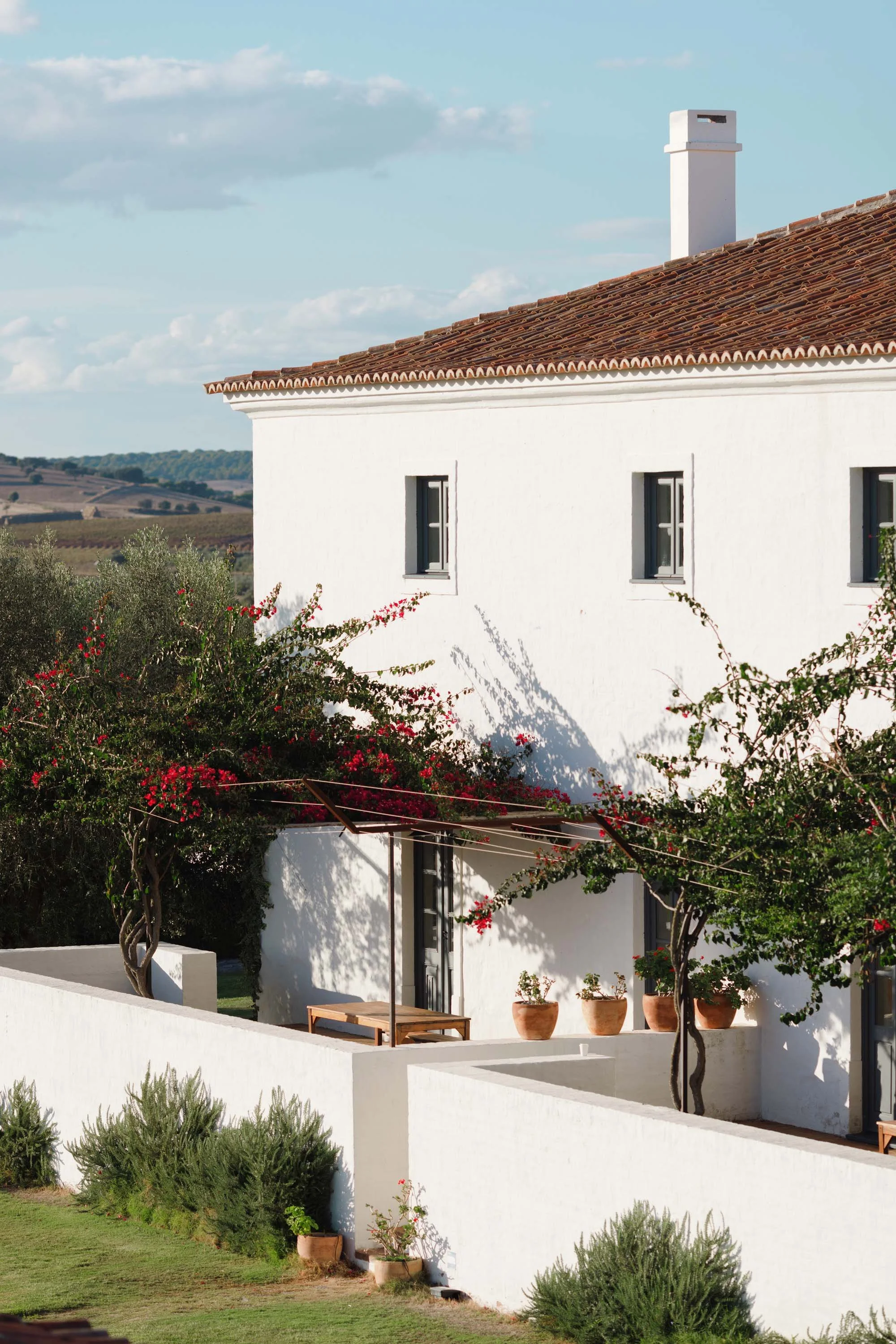 Jasmine Lazzari Designs | Alentejo Portugal Wedding Party Planner | São Lourenço do Barrocal Welcome Dinner Parties | Emily White Photography | Destination Wedding Designer Planning   8.jpg