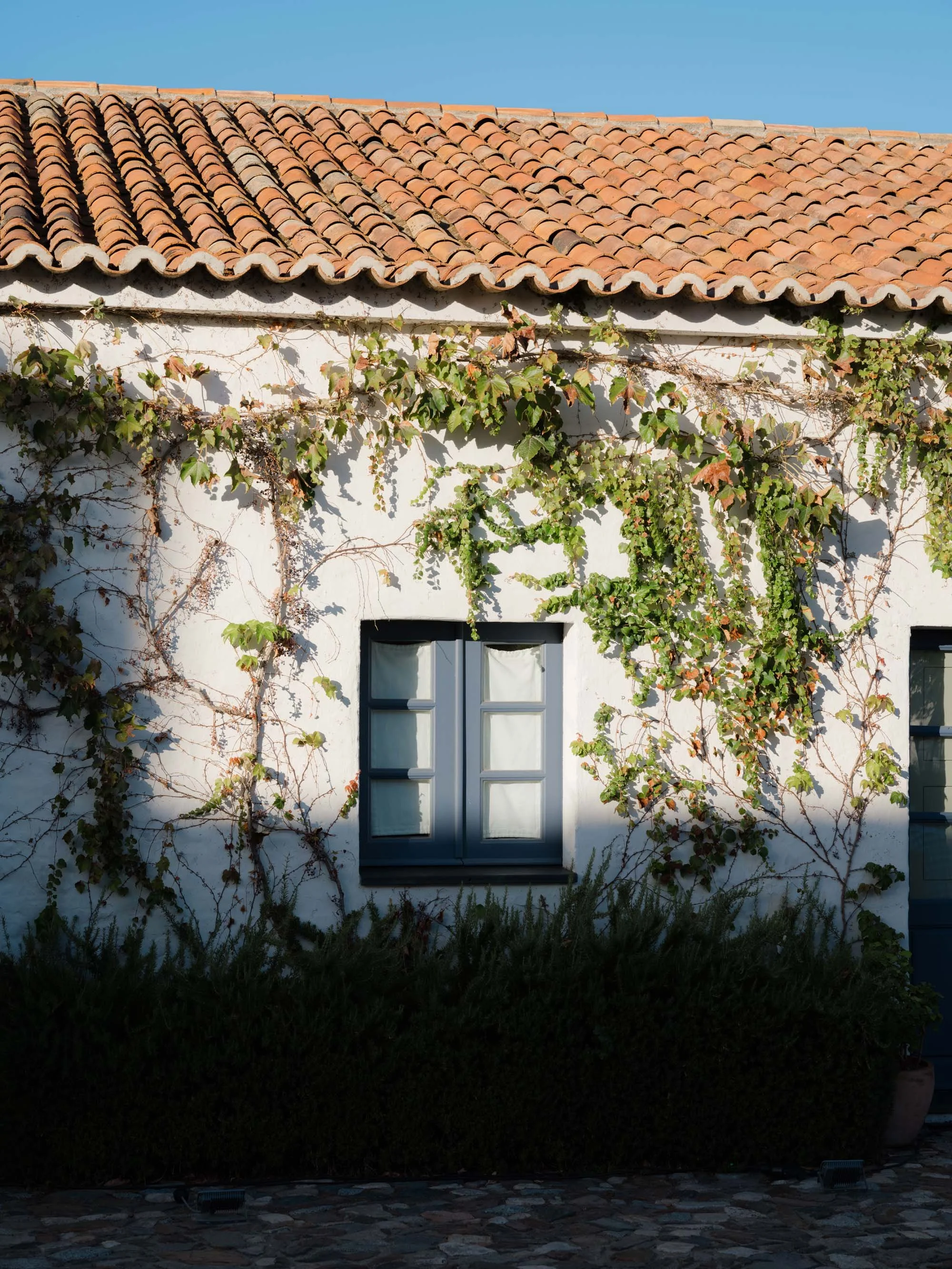 Jasmine Lazzari Designs | Alentejo Portugal Wedding Party Planner | São Lourenço do Barrocal Welcome Dinner Parties | Emily White Photography | Destination Wedding Designer Planning   9.jpg