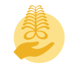 Gold coin with an intricate design