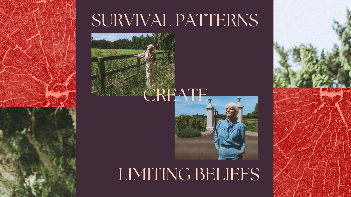 Survival patterns create glass ceilings — Caoimhe Harrison