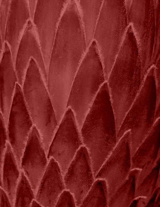 Close-up of red feathers with a pattern of overlapping scales.