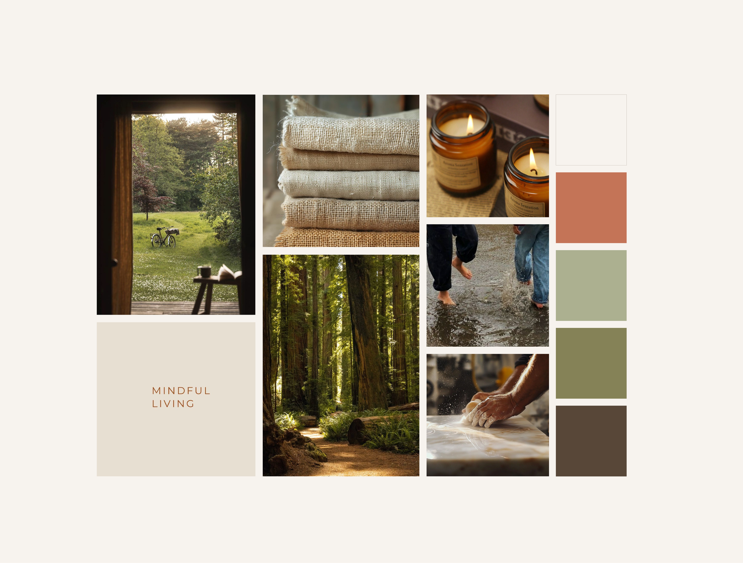 Red Fern Supply Co. Webbb Build Out.png