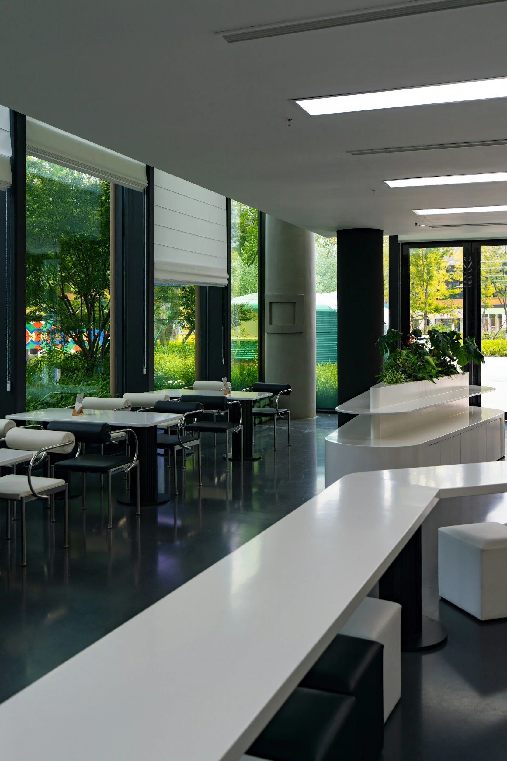 Modern cafe interior with white and black seating, large windows with shades, and green plants.