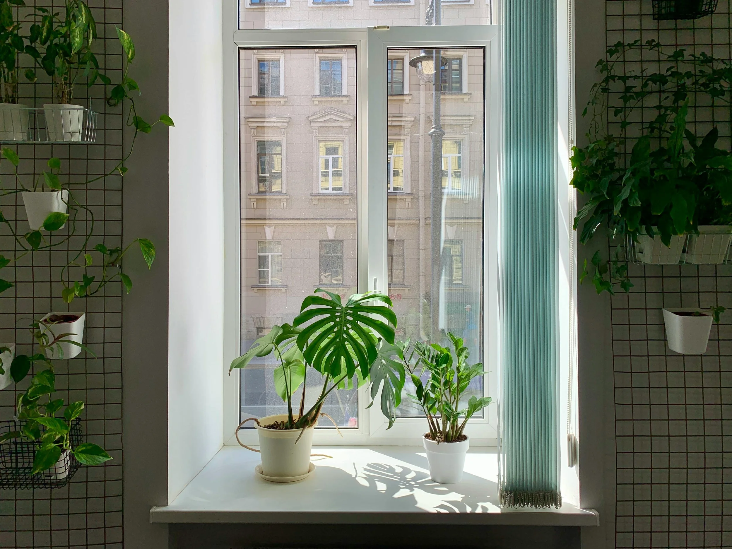 Indoor window sill with three potted plants receiving sunlight, with buildings and a street lamp outside.