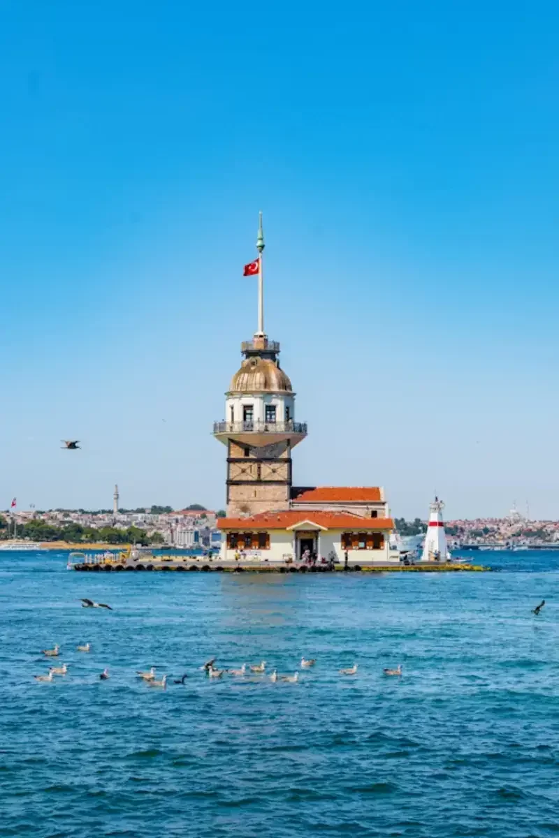 A lighthouse on a small island in the water, with a flag on top, surrounded by seagulls and some ducks, and a cityscape in the background.