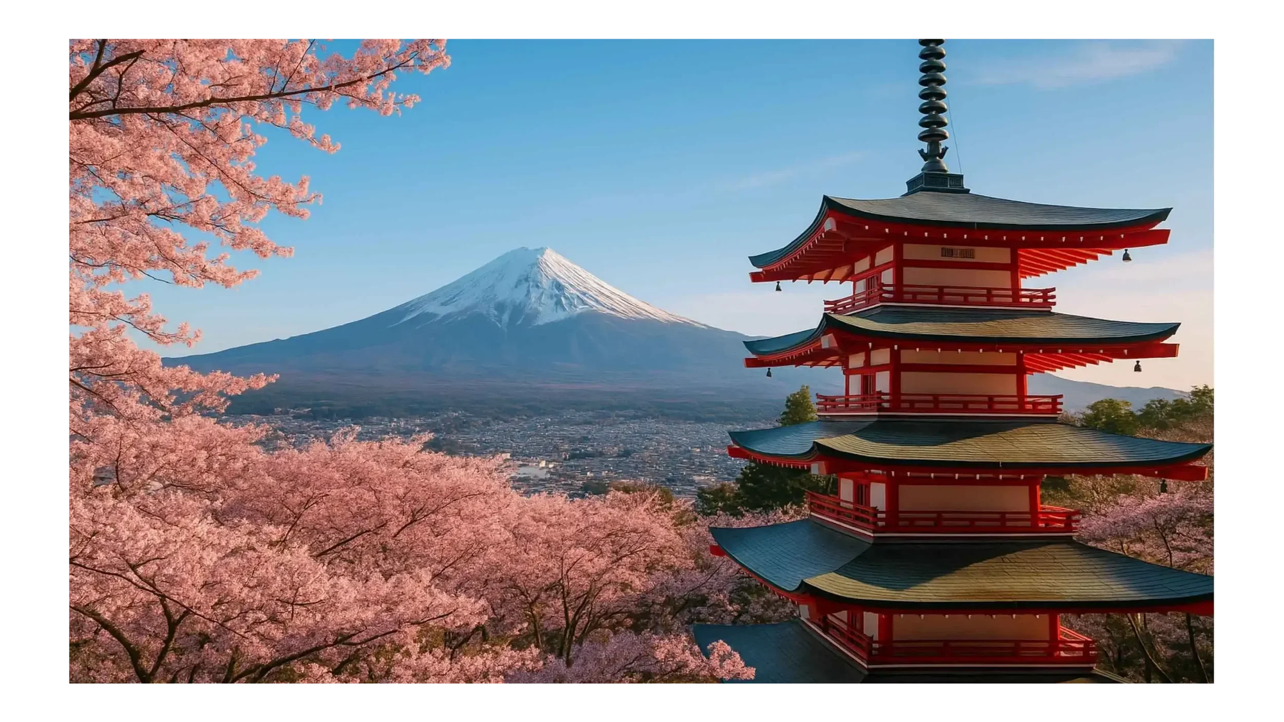 Why 2026 Is the Best Year to Visit Japan: A Complete Travel Guide for First-Time Visitors