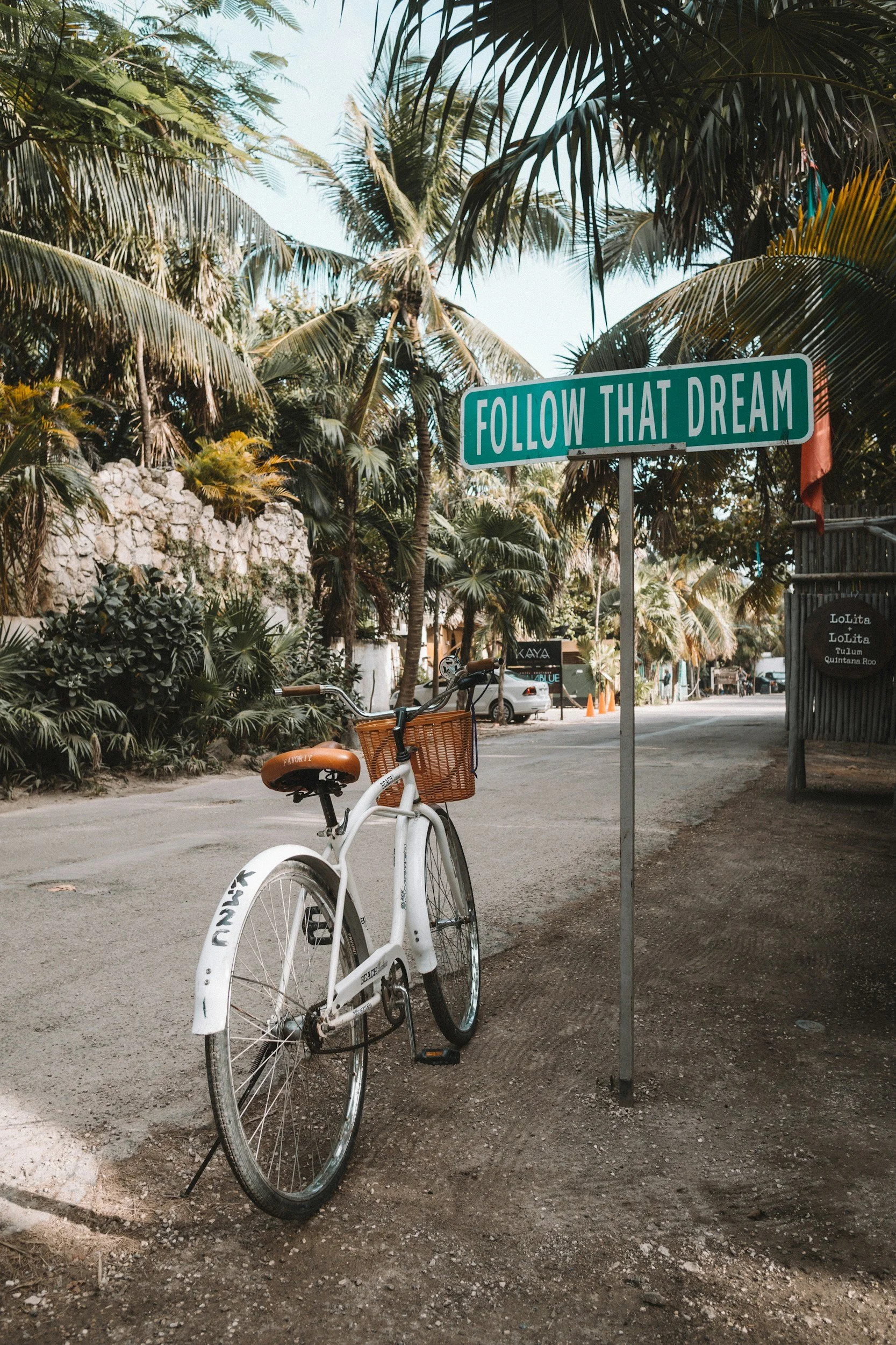 White bicycle with a brown saddle and a brown basket parked on a dirt road in front of a street sign that reads 'Follow That Dream'. Palm trees and tropical vegetation are visible in the background.