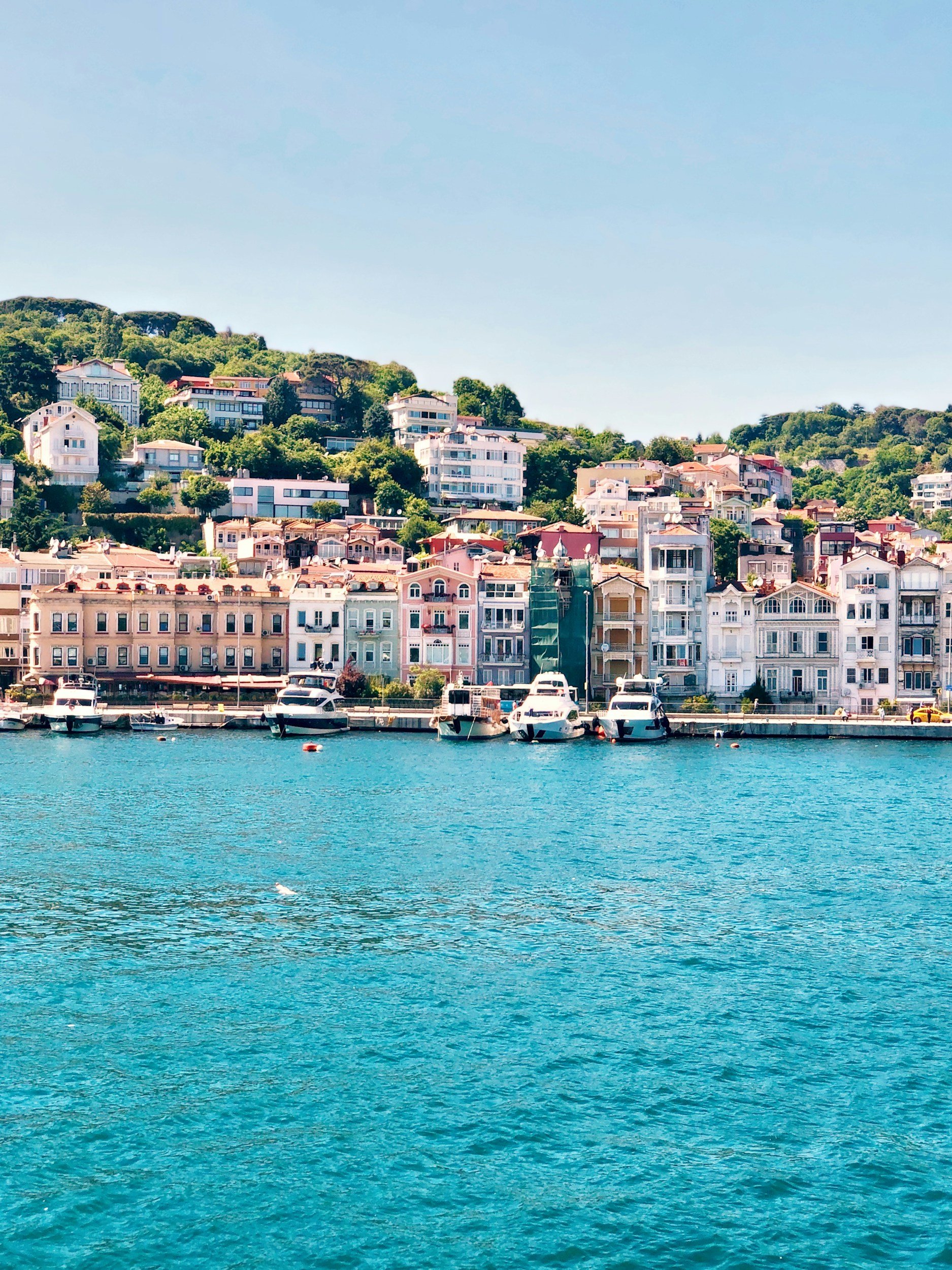 A view of a harbor with several white yachts docked in turquoise water, with a hillside of colorful residential buildings and lush green trees in the background under a clear blue sky.