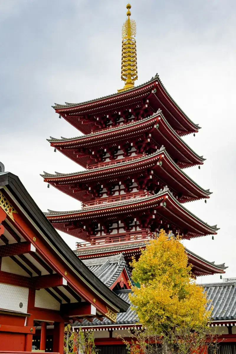 Traditional Japanese pagoda with five tiers, red and black accents, and a golden top ornament, surrounded by autumn foliage.