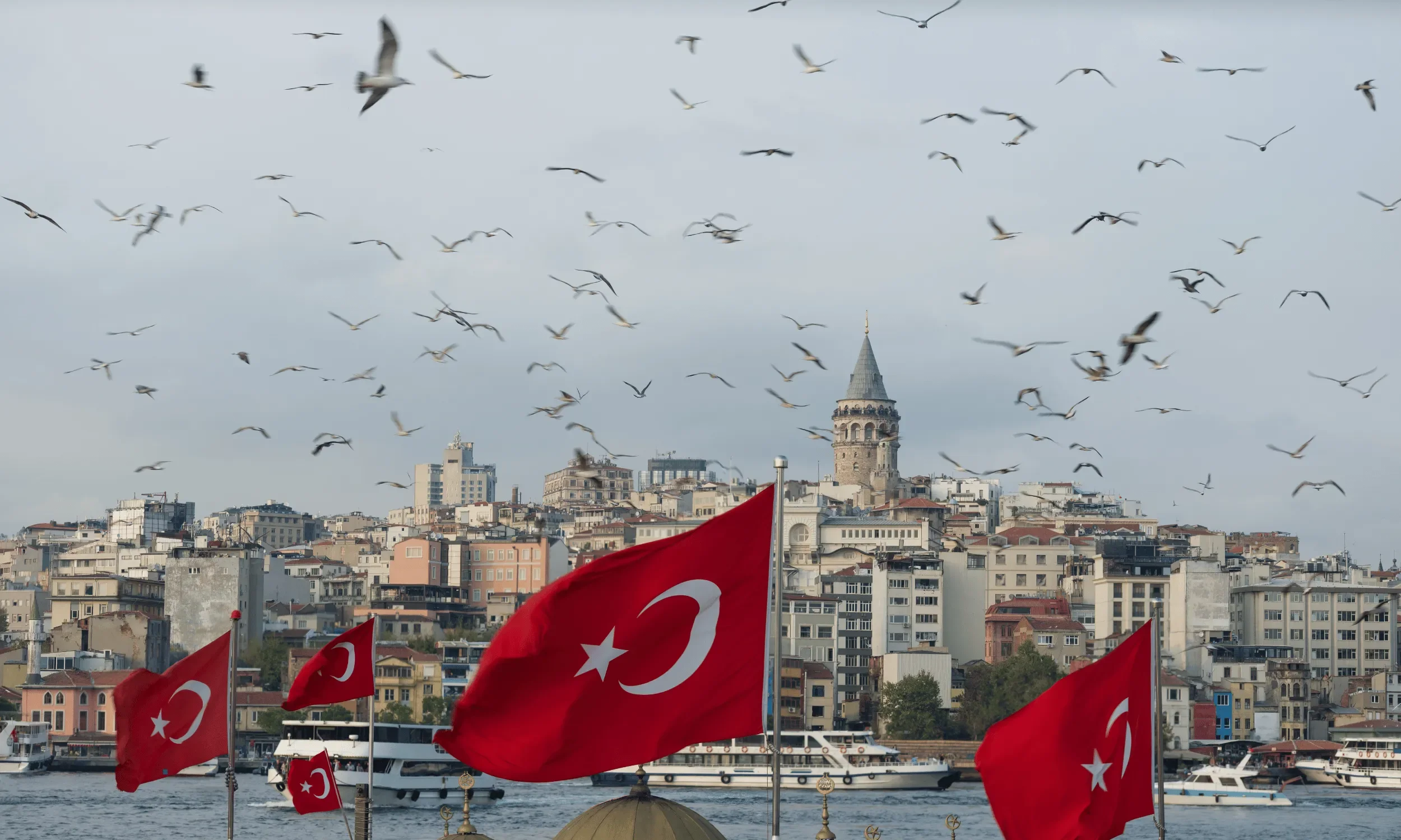 the view on the galata tower with seagulls flying in the grey sky of september