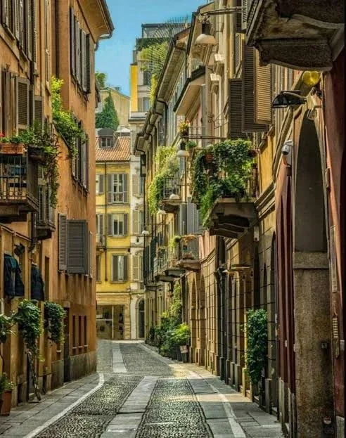 Narrow European street with cobblestone pavement, old buildings with balconies and shutters, greenery, and a ladder against a building