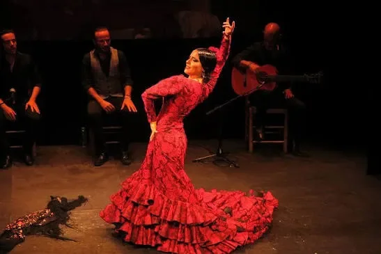 a dancer of flamenco standing in the middle of a dance ring performing falmenco dance