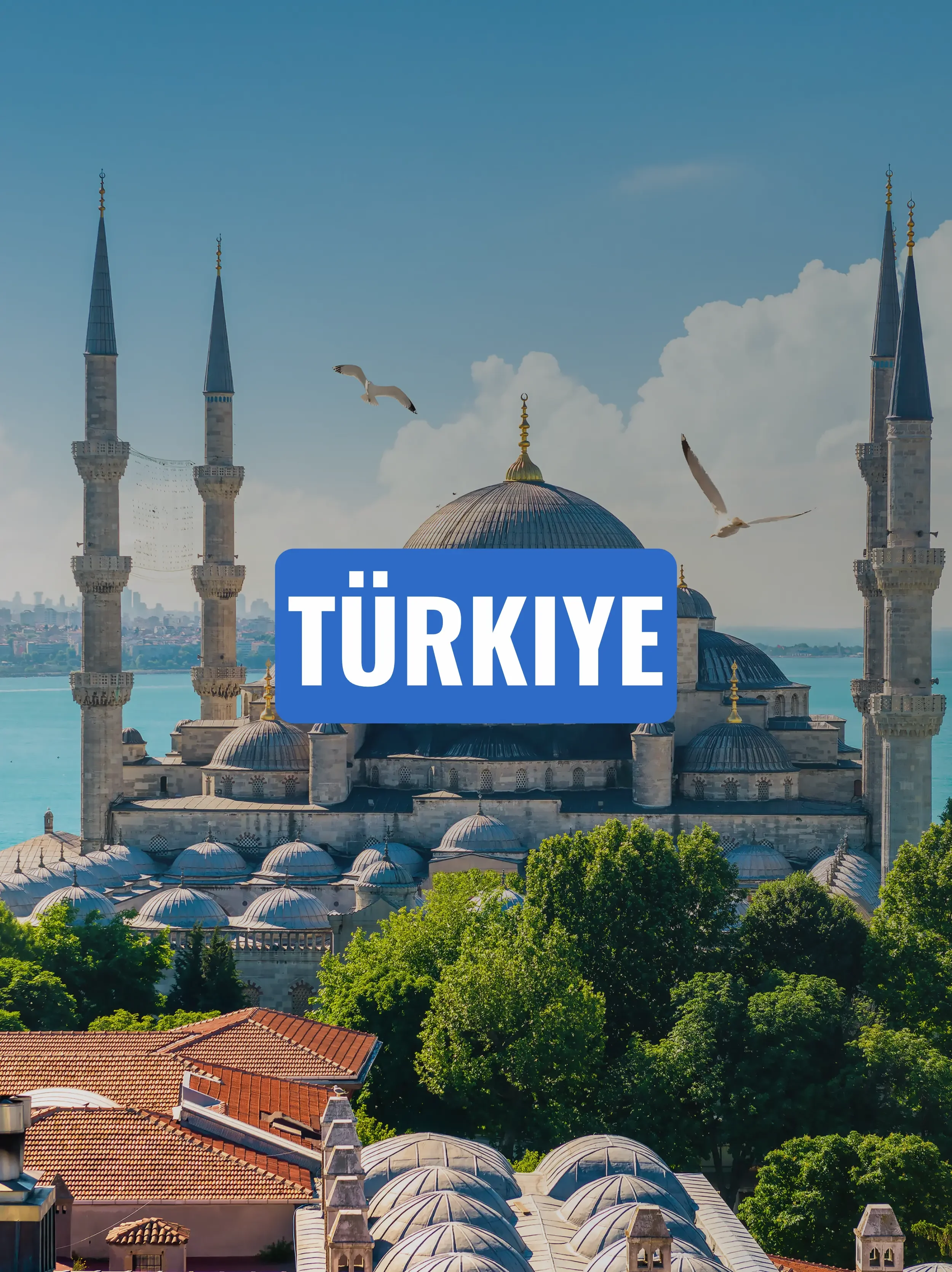 the blue mosque view with seagulls flying around.