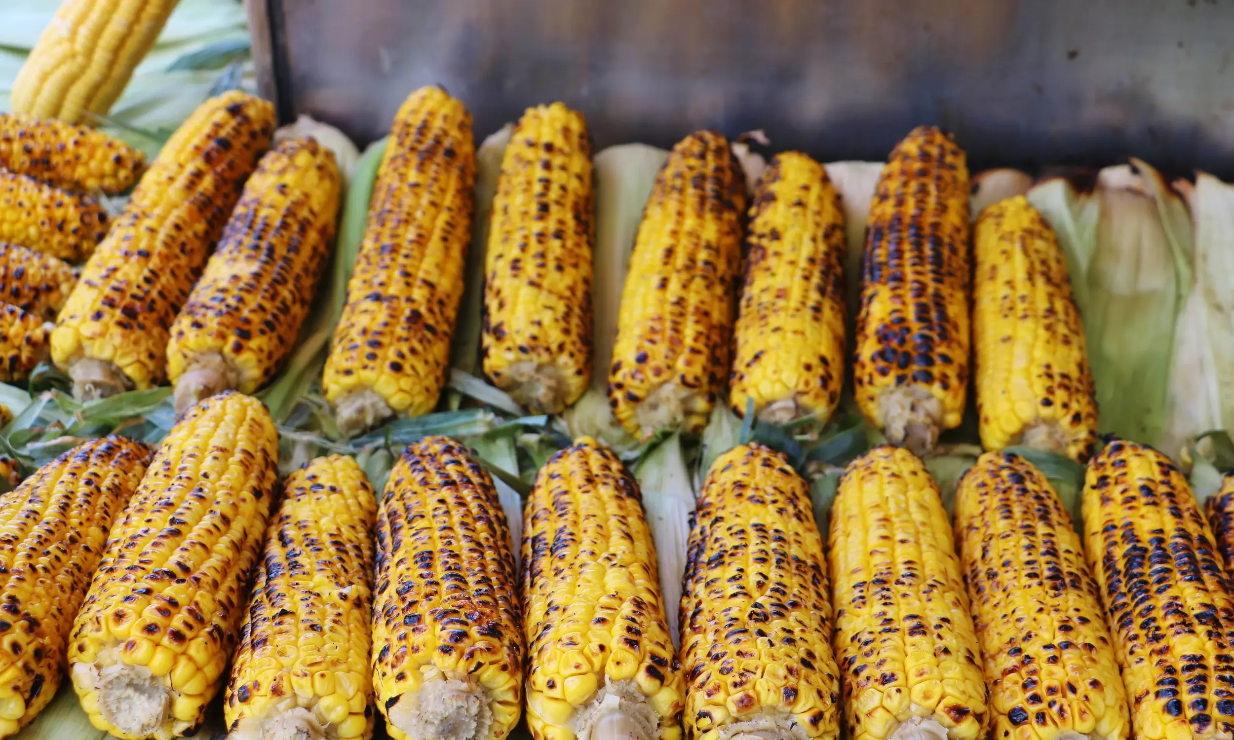 the grilled corn famous turkish street food