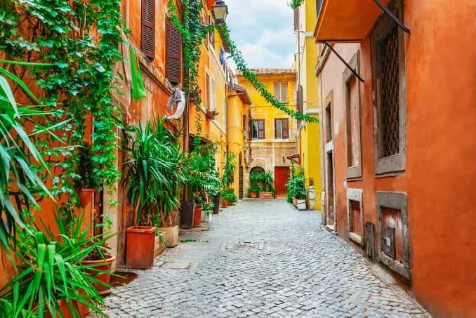 A narrow cobblestone street lined with colorful buildings and lush green plants in pots, with hanging vines and a few closed shutters on a sunny day.