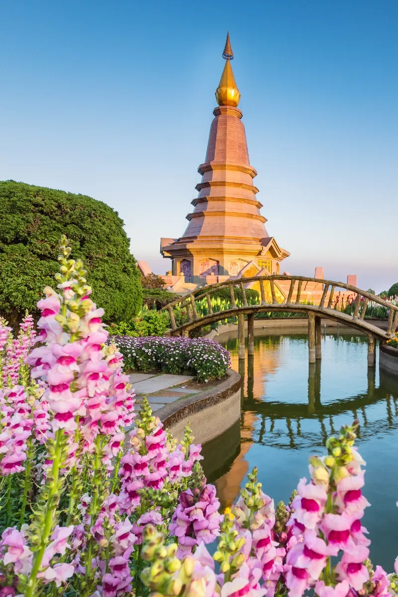 A large golden-topped pagoda surrounded by a garden with pink flowers and a water canal, under a clear blue sky.