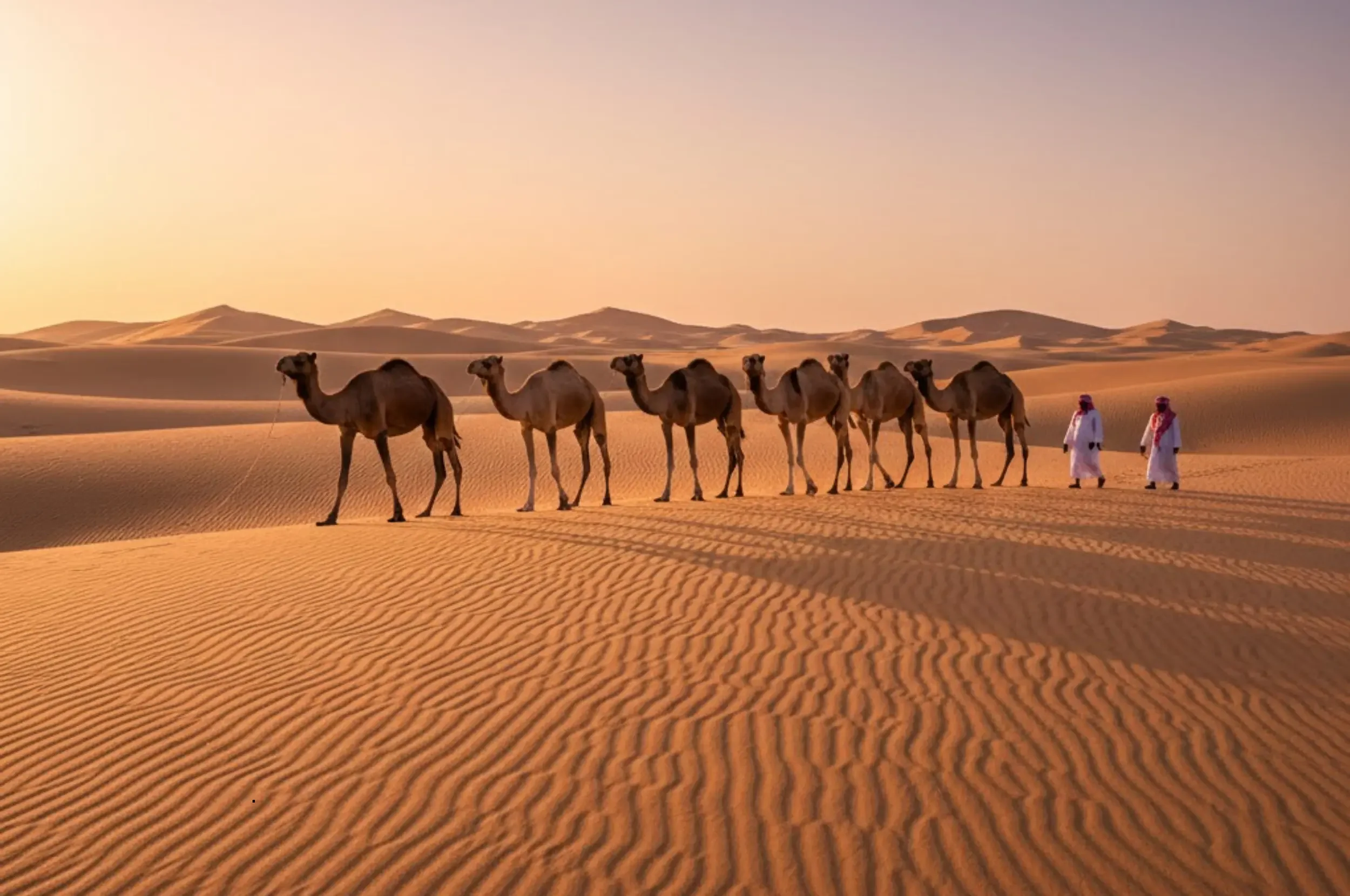 the best of morocco desert with camel ride.