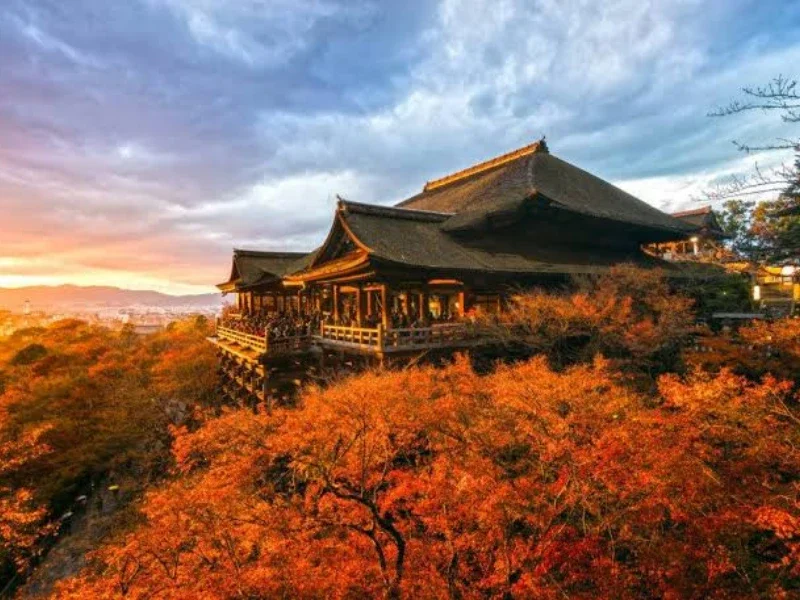 Traditional Japanese temple on a hill surrounded by autumn-colored trees during sunset.
