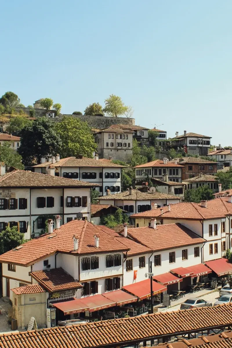 Photo of traditional houses with red-tiled roofs on a hillside, trees, and a clear blue sky.