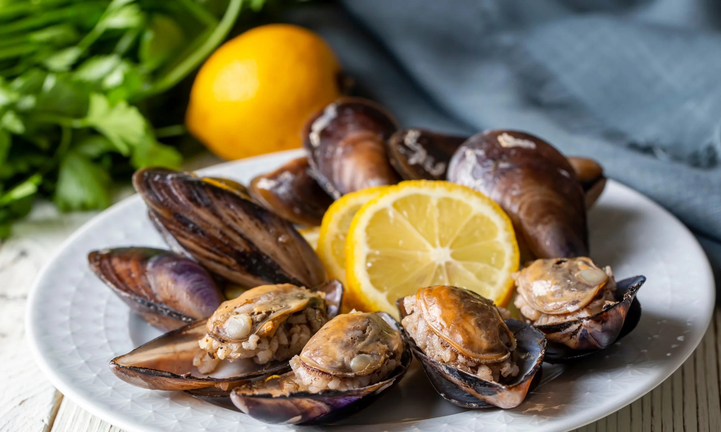 A plate of cooked mussels garnished with lemon slices, with greens and a lemon in the background.