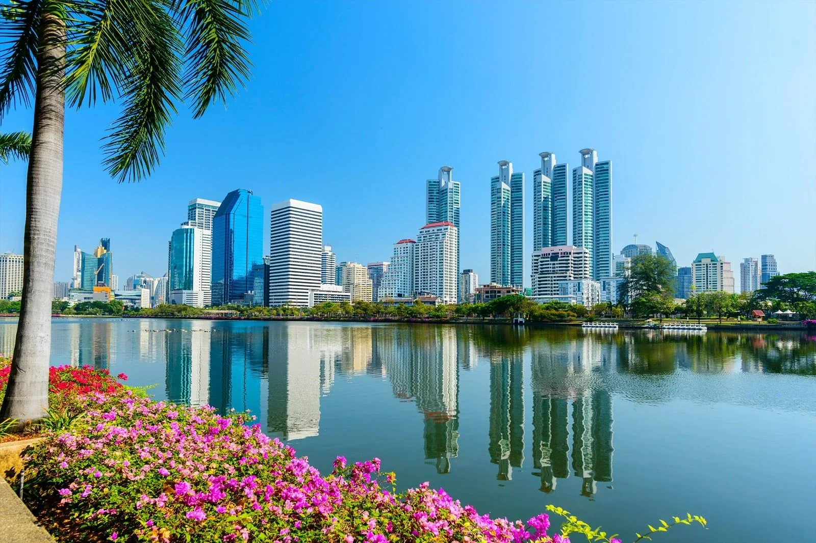 Downtown skyline of a modern city with tall skyscrapers reflecting in a calm body of water, framed by a palm tree and colorful flowers in the foreground on a sunny day.