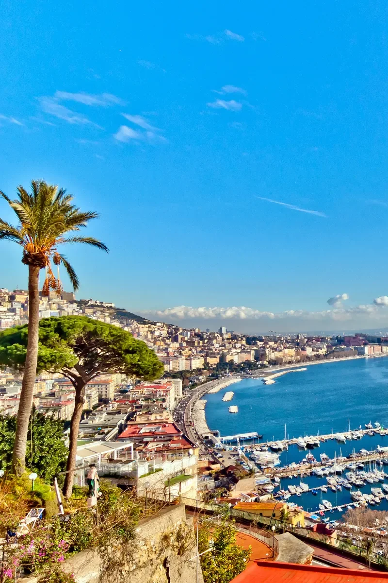 A coastal cityscape with buildings on a hillside, a curved shoreline, a marina with boats, palm and pine trees, and a clear blue sky with some clouds.