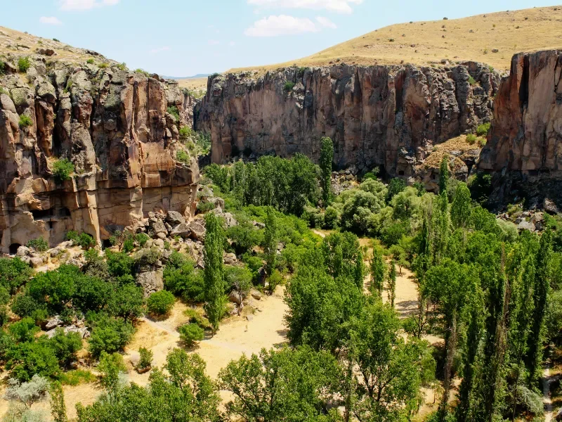 A lush green canyon with tall trees and rocky cliffs under a blue sky.
