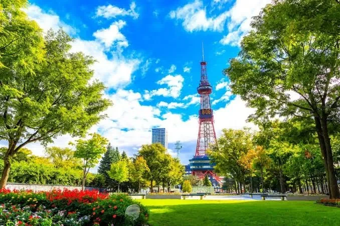 the famous odori park in sapporo