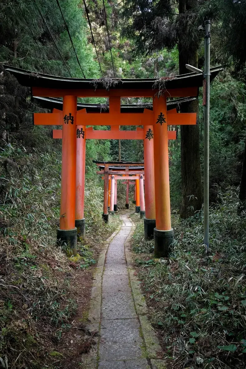 A narrow stone path winding through a forest, lined by traditional red Japanese torii gates.