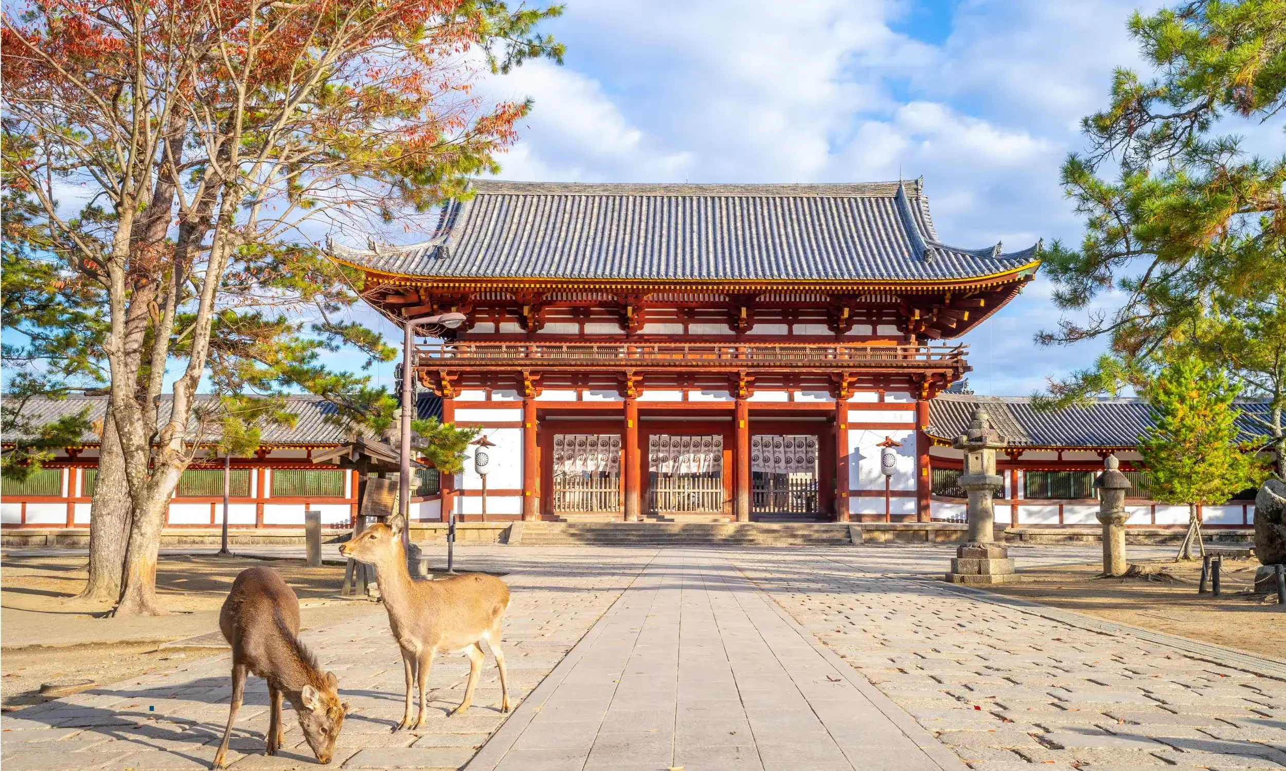 Traditional Japanese temple gate with red and white wooden structure, surrounded by trees with some autumn leaves, and deer grazing in the foreground.