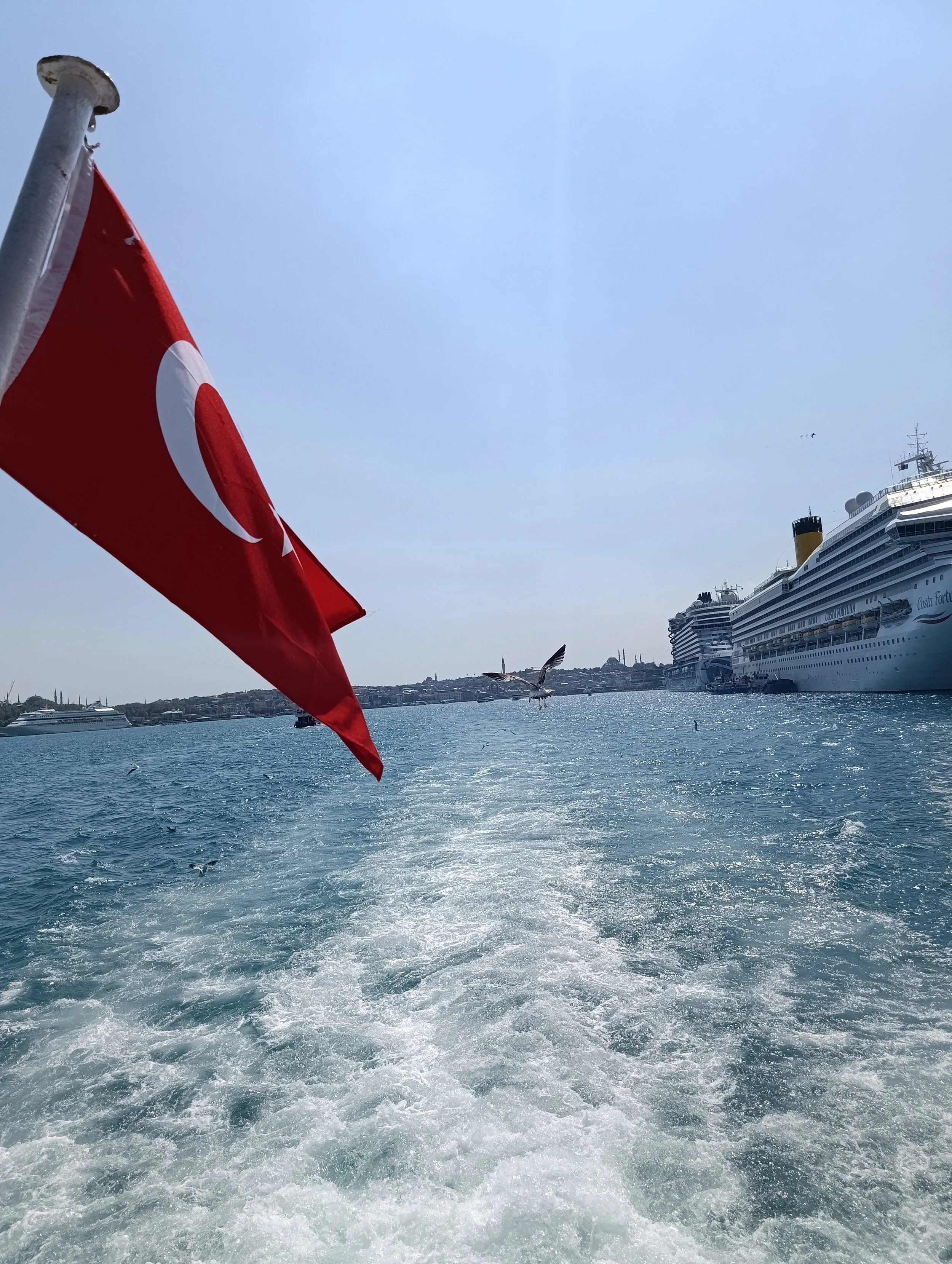 View of the sea with a red Turkish flag on the left, a cruise ship on the right, and seagulls flying over the water under a clear blue sky.