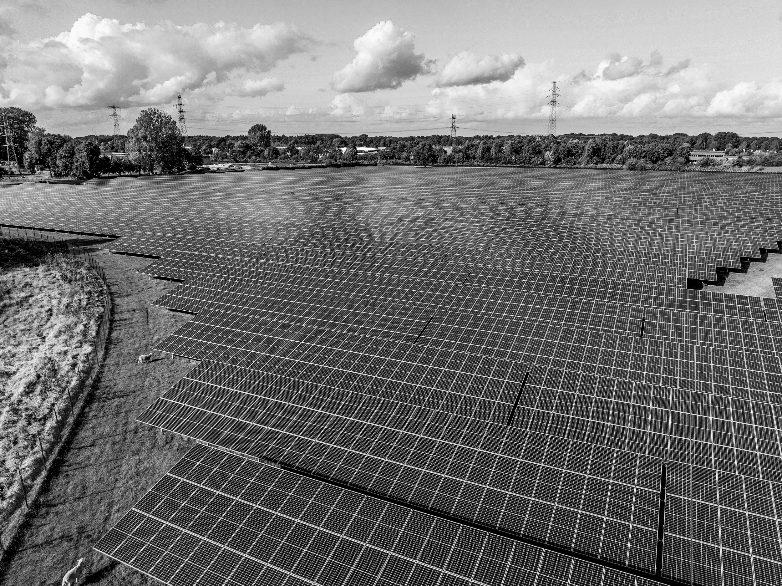 Eine große Solaranlage mit zahlreichen Solarpanelen auf einer offenen Fläche. Im Hintergrund sind Bäume, Power-Übertragungsleitungen und Wolken am Himmel sichtbar.