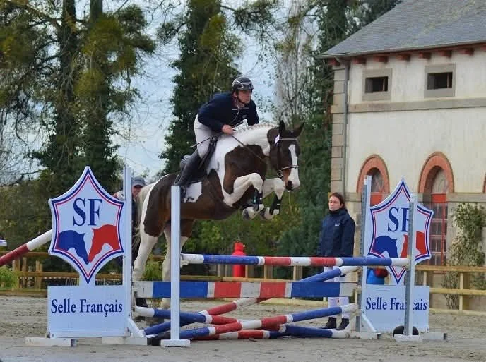 Un cavalier en casque et vêtements noirs sautant avec un cheval à saut d'obstacles lors d'une compétition équestre, en arrière-plan une femme observe, parois décoratives avec le logo SF et la mention 'Selle Français'.