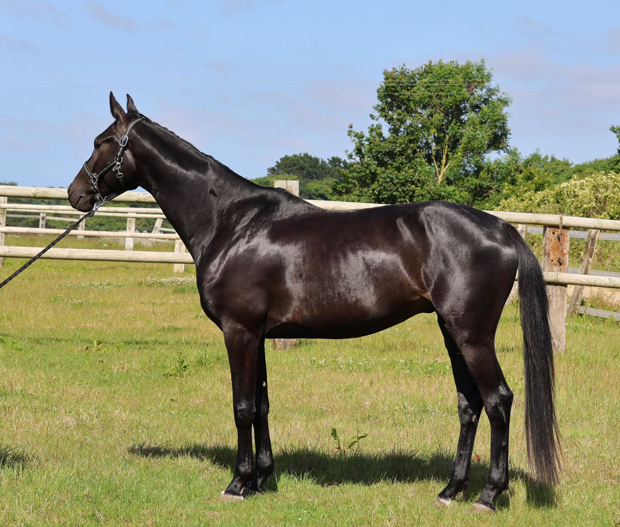 WhatsApp Image 2025-08-13 at 13.47.55.jpeg