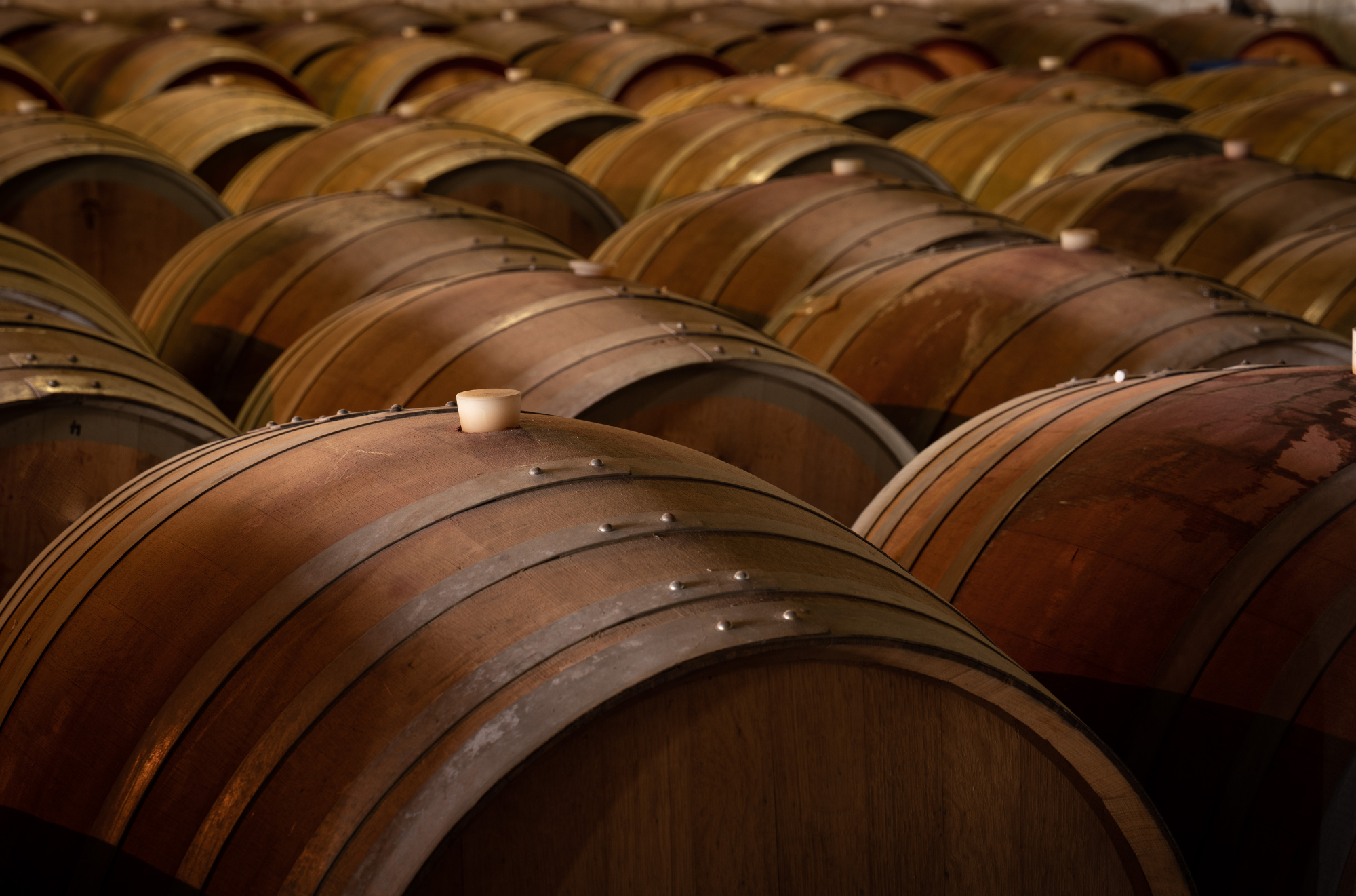 How Red Wine Is Made: From Vineyard to Glass