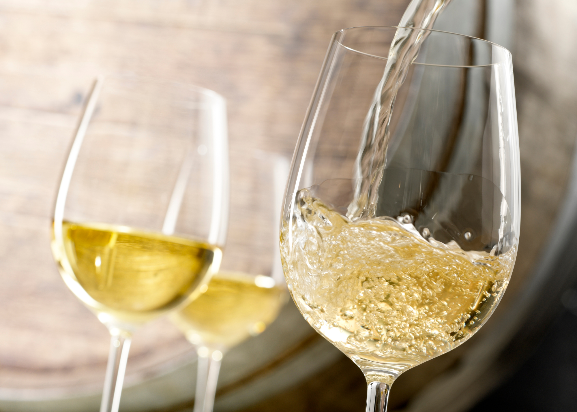 White Wine 101: Everything You Need to Know